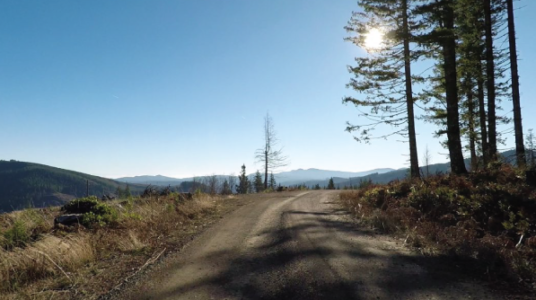 How to bike on gravel best bike rides in Oregon
