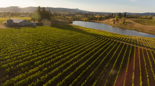 Harvest Century-Montinore Estates winery