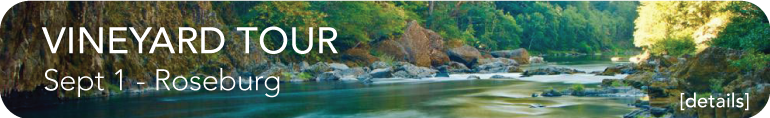 vineyard-banner-2019 vineyard-banner-2019