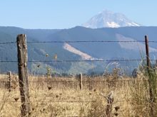 2023 Hood and Back bike ride - Mt Hood looming
