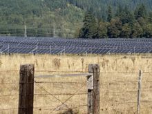 2023 Hood and Back - solar panel array